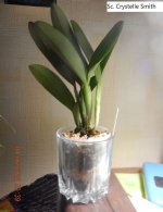 DSCN8510.JPG