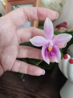 IMG_20220605_180340.jpg