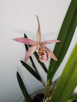 IMG_20220604_182004.jpg