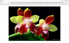 Screenshot_20220607-102535_Firefox.jpg