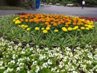 IMG_20220607_143806.jpg