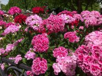 IMG_20220607_144155.jpg