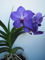 P6081521~2.JPG