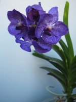 P6081525~2.JPG