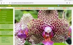 Screenshot_20220614-131352_Firefox.jpg
