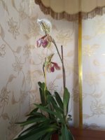 IMG_20220615_185949.jpg
