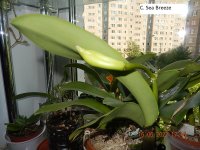 DSCN8515.JPG