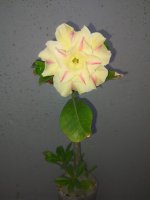 PXL_20211020_173418847.jpg