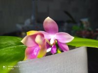 IMG_20220621_101452.jpg