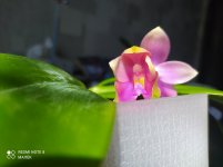 IMG_20220621_101458.jpg