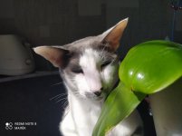 IMG_20220621_101520.jpg