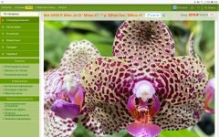 Screenshot_20220621-093007_Firefox.jpg