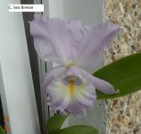 DSCN8519.JPG