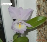 DSCN8521.JPG