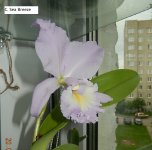 DSCN8522.JPG