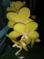 IMG_20220623_124414.jpg
