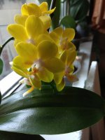 IMG_20220623_124450.jpg
