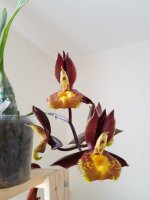20200520_103926.jpg