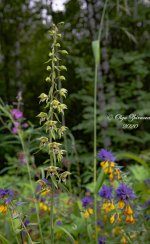 DSC_5170.jpg