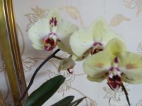 IMG_20220701_122405.jpg