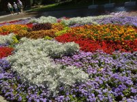 IMG_20220704_101951.jpg