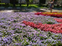 IMG_20220704_102012.jpg