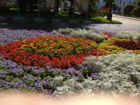 IMG_20220704_102118.jpg