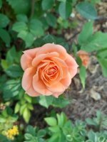 20220702_090804.jpg