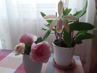 20220707_064143.jpg