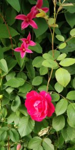 IMG_20220711_203035.jpg