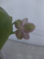 IMG_20220711_195710.jpg