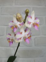 IMG_20220714_115600.jpg