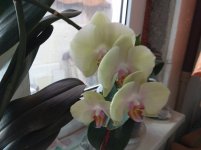 IMG_20220714_153911.jpg
