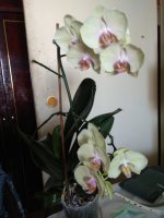 IMG_20220714_154147.jpg