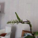 IMG_20220717_102017.jpg