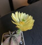 34845797-2E6C-43FF-B3CE-322F07DC3B76.jpeg