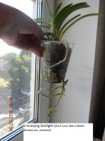 DSCN8585.JPG