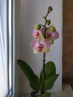 IMG_20220406_130023.jpg