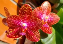 20220818_170818.jpg