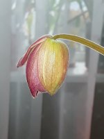 20211019_115325.jpg
