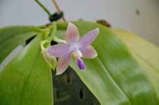 DSC_0141.jpg
