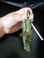 IMG_20220906_120830.jpg