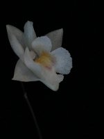IMG_0282.JPG