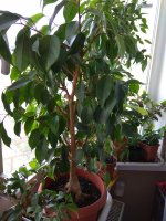 IMG_20220911_110424.jpg