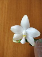 IMG_20220917_074931_Bokeh.jpg