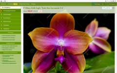 Screenshot_20220917-093711_Firefox.jpg