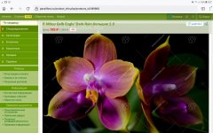 Screenshot_20220917-093704_Firefox.jpg