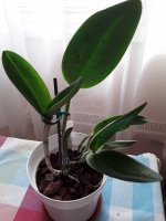 20220917_090435.jpg