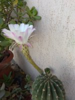 IMG_20220919_114514.jpg