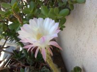 IMG_20220919_114535.jpg